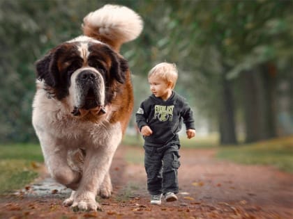Будь здоров! Держи голову в холоде, а детей – в движении