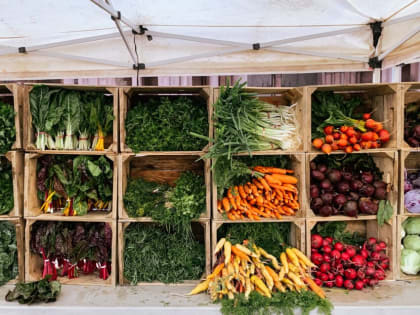 На Смоленщине снизилась цена на картофель и гречку