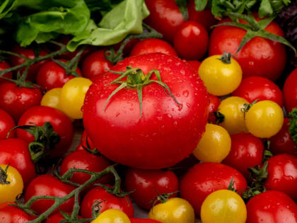 Как использовать избыток томатов: простой рецепт летнего салата