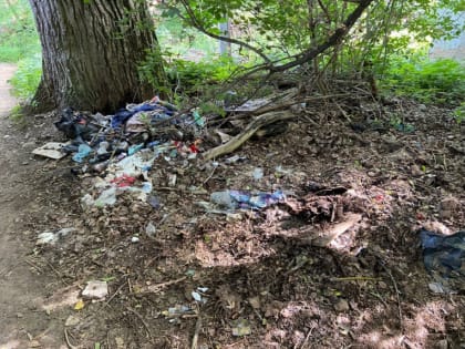 В Смоленске ликвидировали очередную свалку отходов