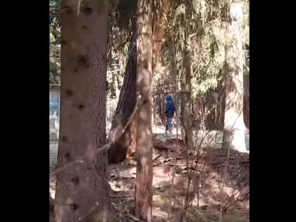 Василий Анохин поручил отремонтировать мост в Гагарине