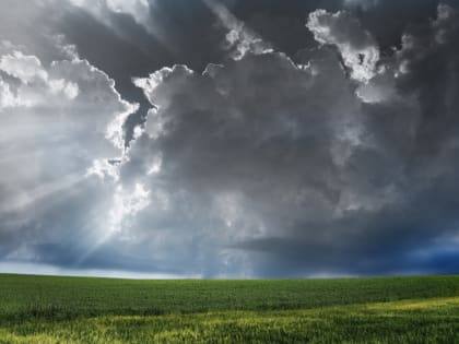 До 15 градусов тепла и небольшой дождь прогнозируют в Смоленской области 1 мая