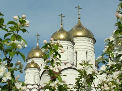 Торжества в день памяти преподобного Герасима в Болдином монастыре