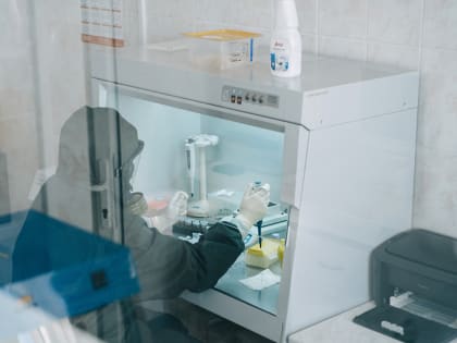 В Смоленской области не планируют вводить дополнительных ограничений в связи с обнаружением «Кракена»