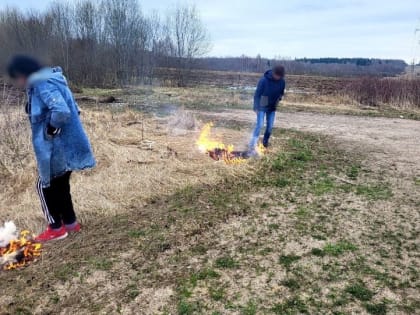 В Смоленской области поймали поджигательниц травы