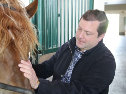 Алексей Островский посетил хозяйство по возрождению лошадей породы «советский тяжеловоз»