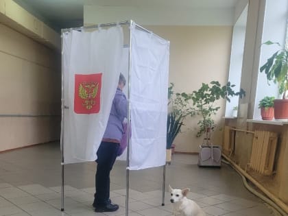 Третий день голосования на выборах депутатов