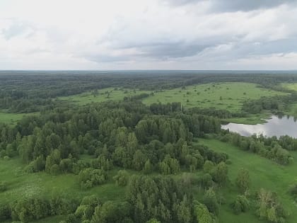 В Смоленске аварийную ситуацию с пешеходом сняли на видео