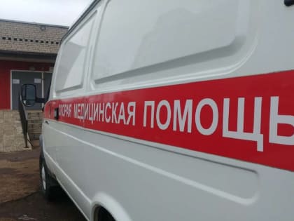 Более 4700 раз медики скорой помощи выезжали к смолянам