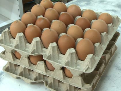 Почему в Смоленской области резко подорожали куриные яйца