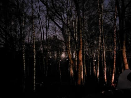 Проблемы с уличным освещением в Смоленске