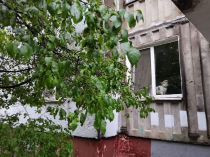 Власти Смоленска приступили к решению проблем дома с «коммунальным комбо»