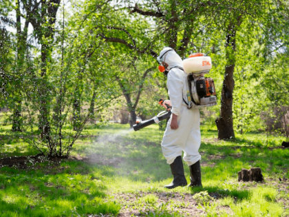 3 мая в Смоленске пройдет акарицидная обработка некоторых общественных территорий