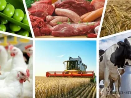 О международной выставке сельскохозяйственной продукции DJAZAGRO 2023