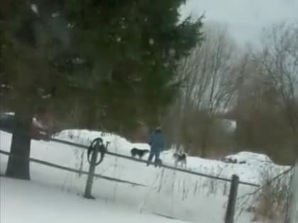 Алексей Островский назвал сроки строительства детского сада в поселке Миловидово