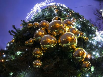 Названы места, где в Смоленске установят новогодние елки