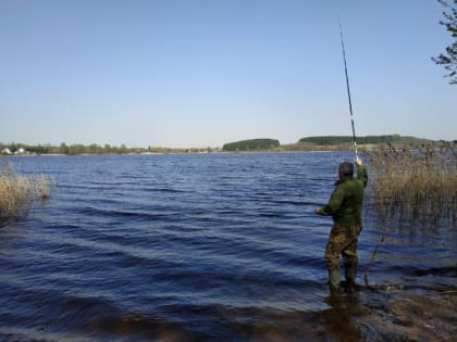 Очередная катастрофа в Смоленской области? В озере Каспля всплыла вся рыба