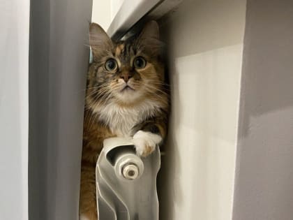 Подготовка Смоленска к отопительному сезону