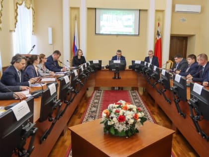 Члены смоленского градостроительного совета обсудили концепции благоустройство сада «Блонье»