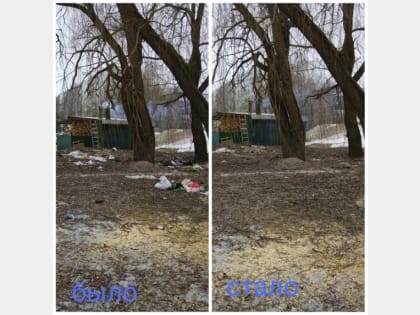В Смоленске приступили к уборке мусора после таяния снега