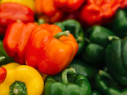 Уход за перцем в летний сезон: советы агронома