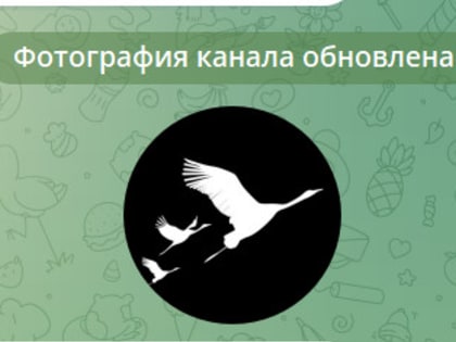 Василий Анохин присоединился к акции «Журавли» в память о жертвах теракта
