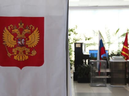 Выборы в Десногорске: результаты голосования