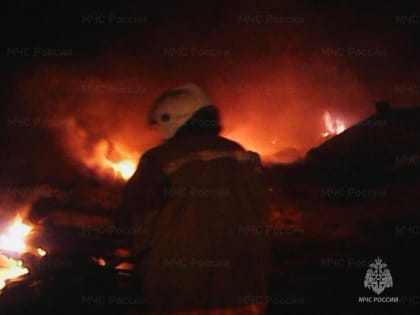 В первый день года жители деревни в Смоленской области лишились дома из-за пожара