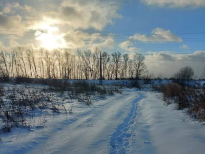 День короткого солнца: в северном полушарии наступает самая длинная ночь