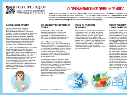 О профилактике ОРВИ и гриппа