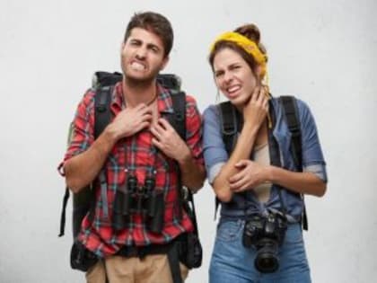 Медики «скорой» рассказали смолянам, куда обращаться после укуса клеща