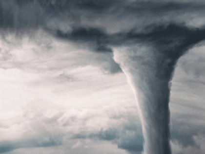 Стихия нанесла ущерб урожаю в России