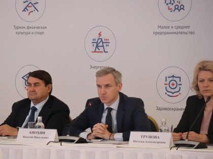 Василий Анохин принял участие в заседании комиссии Госсовета России по направлению «Экономика и финансы»