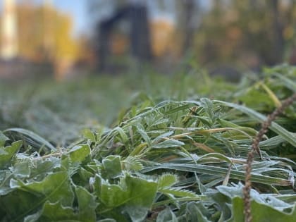 Смоленским медикам назначили новую выплату