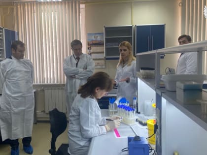 Министр здравоохранения РФ проверил выплаты смоленским медработникам