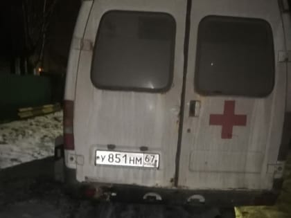 Фонд Сергея Неверова помог двум смоленским приютам для животных