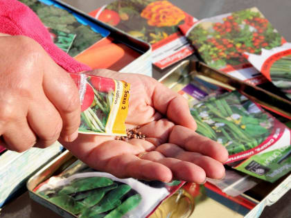 Как сделать почву идеальной для будущих посадок