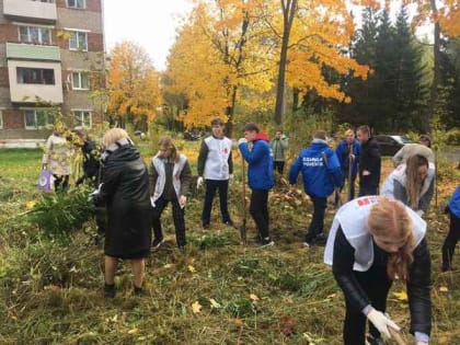 Жители Сафоновского района присоединились к экологической акции по посадке деревьев