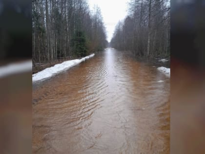 Появилось видео с места жёсткого ДТП с грузовиком на трассе М-1 под Смоленском