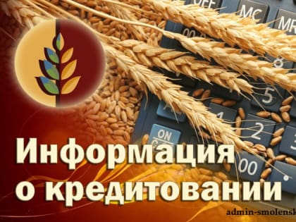 Информация о кредитовании на 14 февраля 2025 года