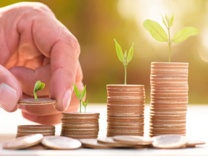 58 млн рублей на реализацию зерновых культур получат смоленские аграрии