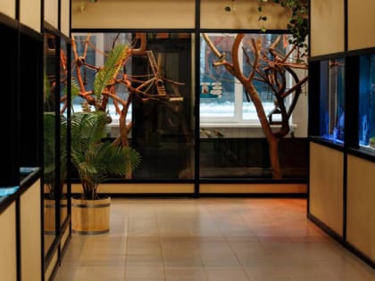 Питомцы смоленского зоопарка обживаются на новом месте