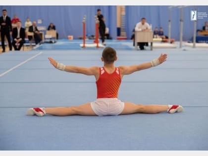 Смоленский гимнаст  стал призером летней спартакиады учащихся России