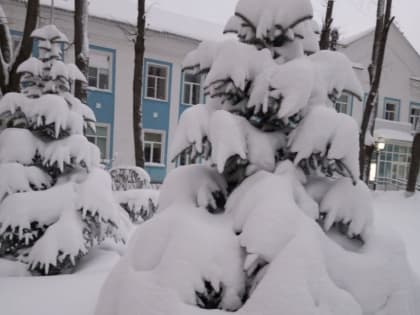 В Смоленской области сохранится аномально-холодная погода