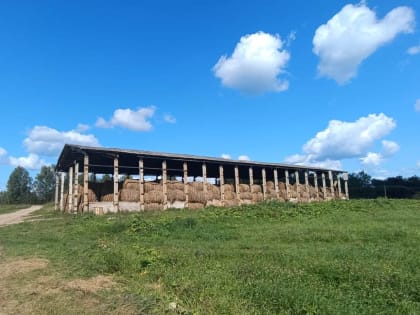 Смоленская область: успешная заготовка кормов для скота