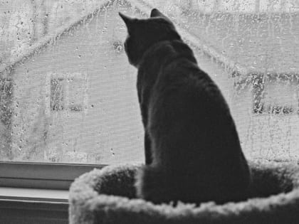 24 марта в Смоленске вновь будет пасмурно