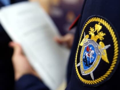 Жительница Смоленска подозревается в совершении особо тяжкого преступления в отношении своего малолетнего сына​
