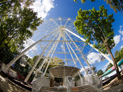 В мэрии прокомментировали ситуацию с колесом обозрения