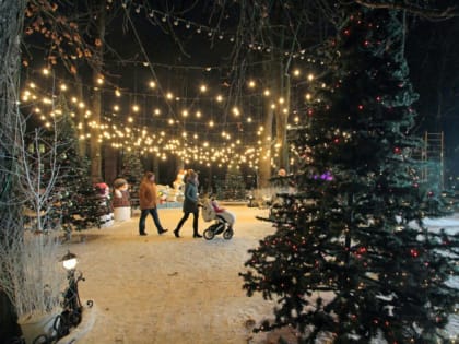 Смоленская область попала в топ-25 регионов для оздоровительного отдыха на Новый год