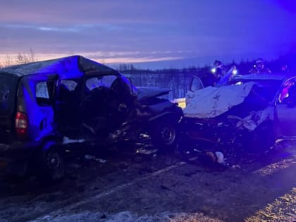 Алексей Островский поручил оказать помощь семье погибшей в пожаре под Смоленском девочки